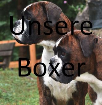 Unsere Boxer